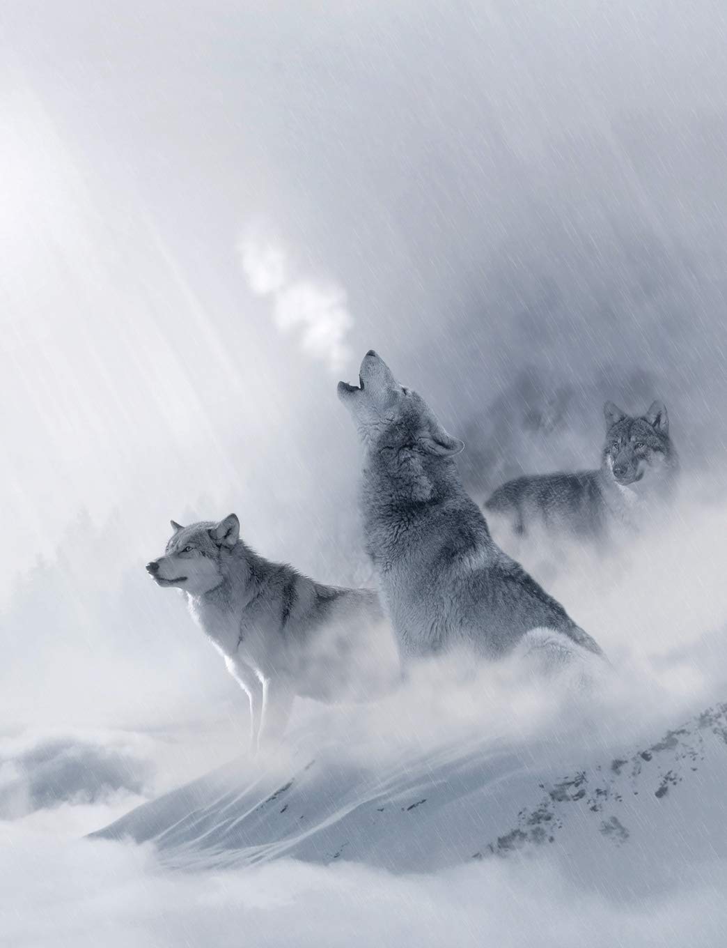 White Wolf Composition Notebook, Unruled Blank Sketch Paper: Creative Artist Drawing Sketchbook (Wolves)