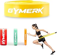 Resistance Bands, Resistance Bands, Strength Training with Door Anchor & Training Poster & Nylon Bag, Fitness Bands Set for Pull-Ups Training, Strength Training, Yoga, Pilates, Physiotherapy