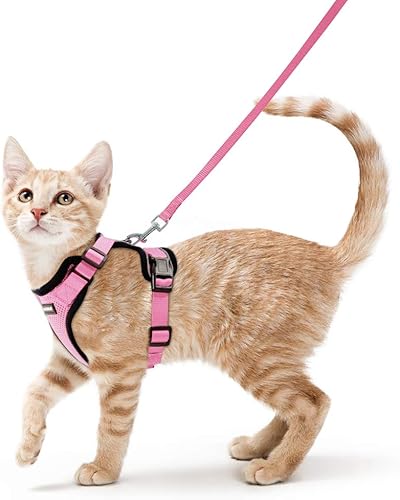 rabbitgoo Arnés y correa para gatos para caminar, chaleco suave ajustable a prueba de escapes para gatos, chaqueta de fácil control transpirable con