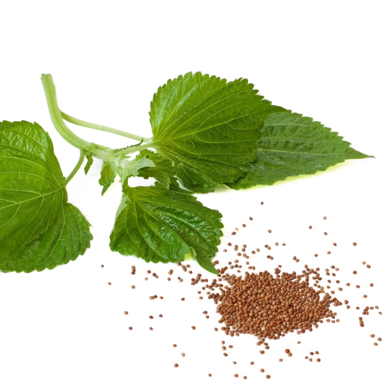 lipoLoges - 180 Kapseln - Für gesunde Cholesterin*- und Blutfettwerte**