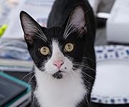 Review Image by pepper