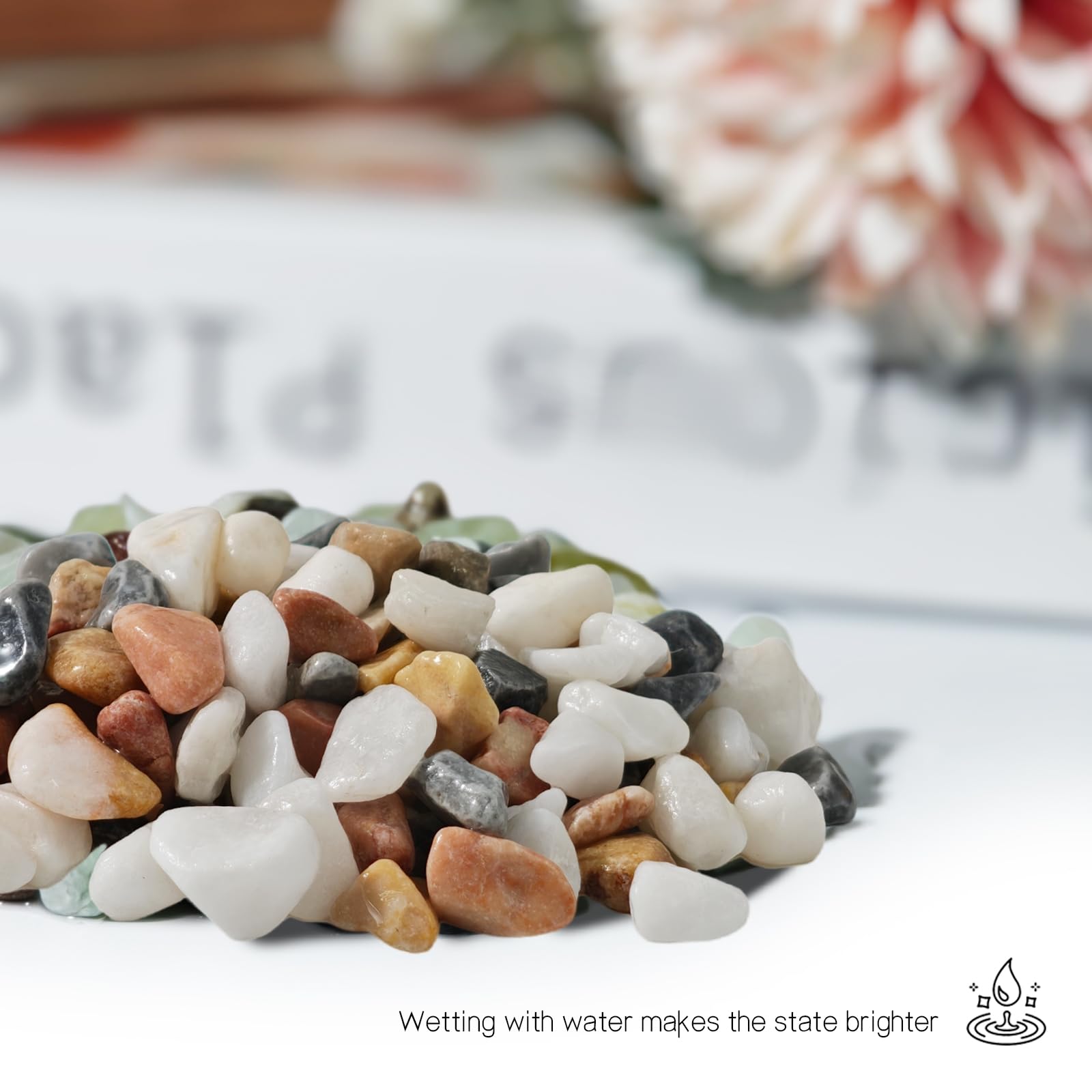 Snapklik.com : 3Lb Pebbles For Indoor Plants,River Rocks For Succulent ...