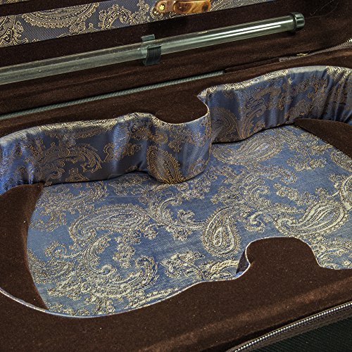 Paititi Ptvnqf28 4/4 Full Size Professional Oblong Shape Lightweight Violin Hard Case, Black/Brown #TOP5