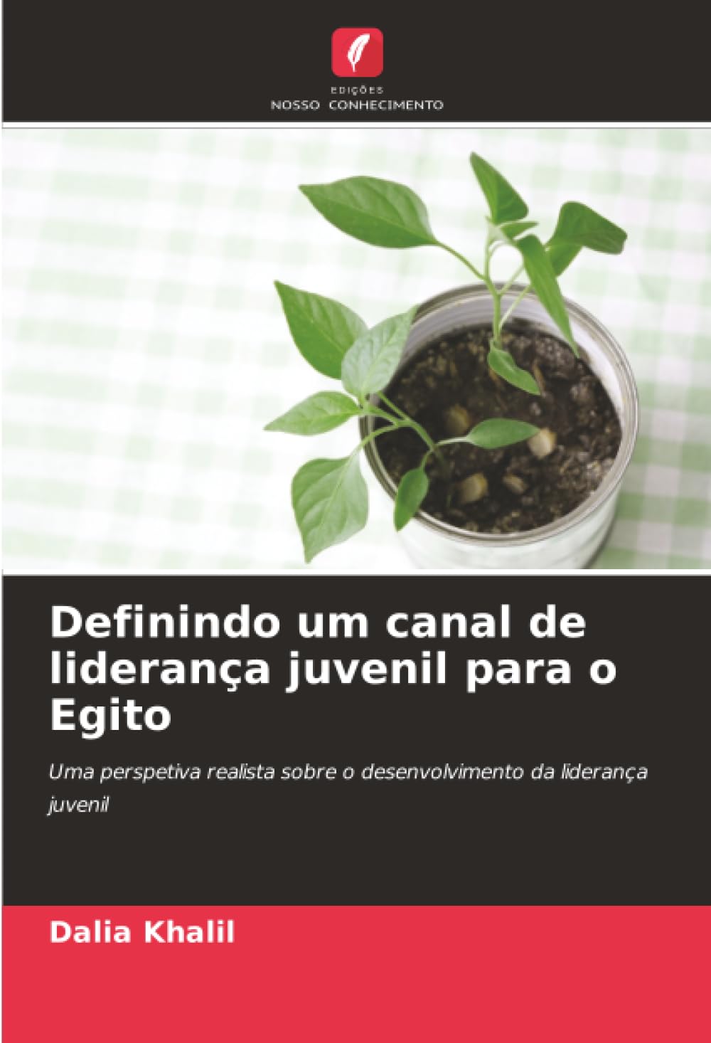 Definindo um canal de liderança juvenil para o Egito: Uma perspetiva realista sobre o desenvolvimento da liderança juvenil