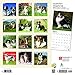 Australian Shepherds 2019 Calendar