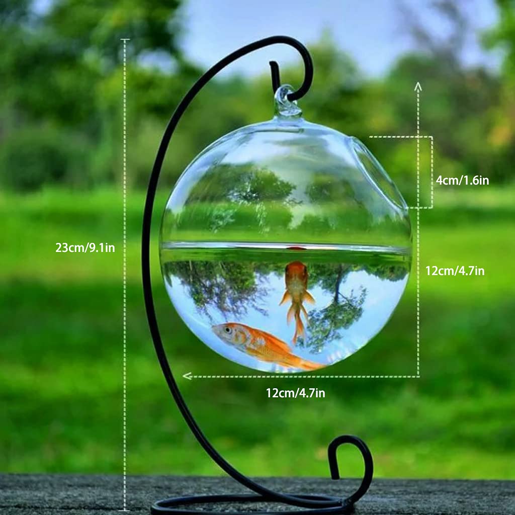 Cuenco de almacenamiento, esférico de cristal hecho a mano para peces de forma redonda, colgante de cristal, pecera, terrario transparente, color blanco