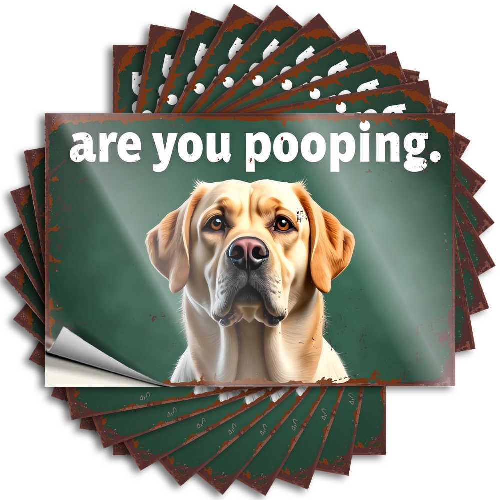 Curious Canine: are You Pooping? Encouragement Country - Lettering Sticker Door Removable Vinyl Decal(6X9CM)
