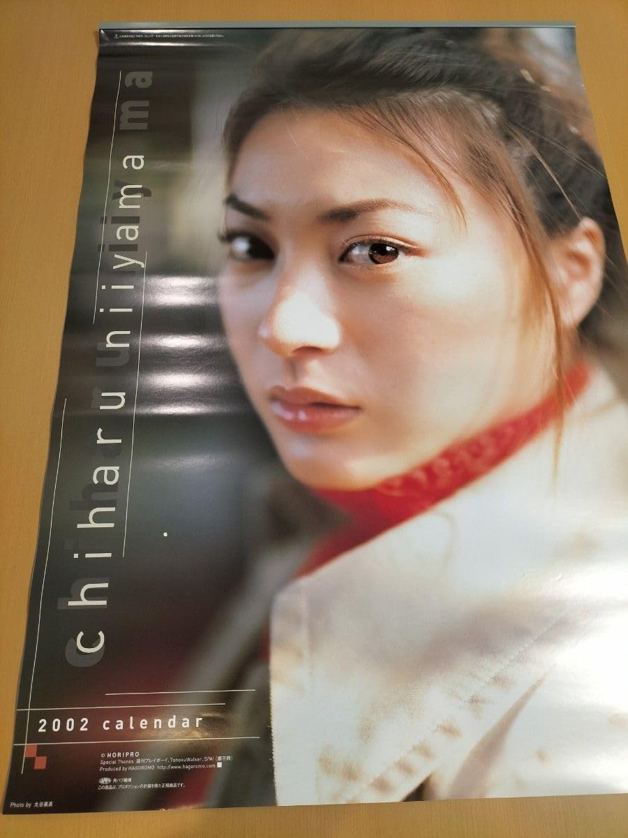Chiharu Niiyama Big Calendar 2002 : Amazon.sg: Office Products