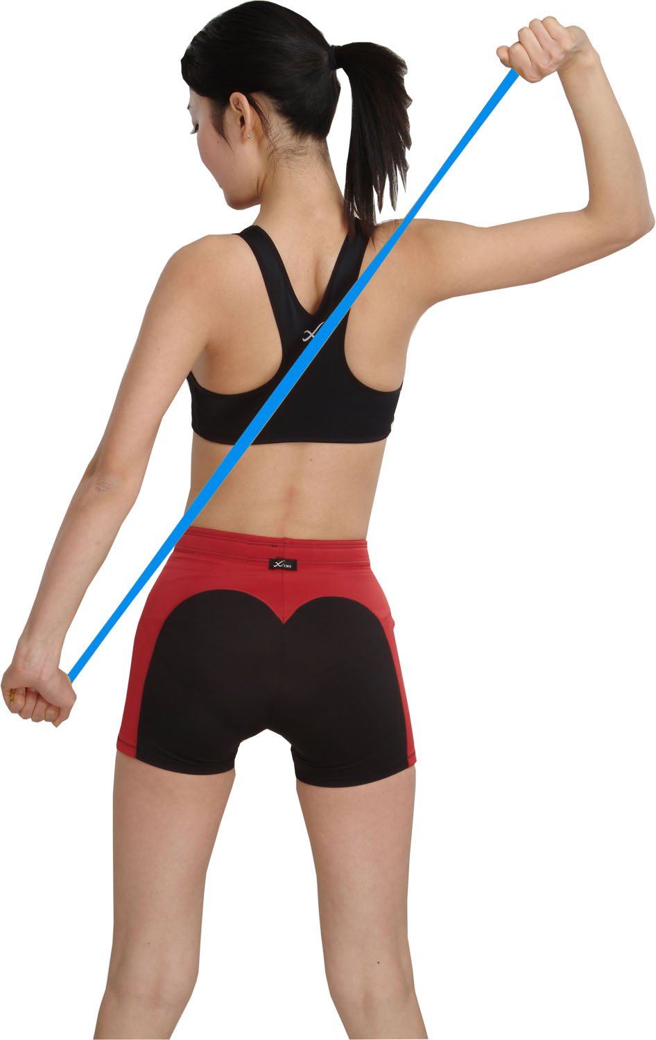 Amazon.co.jp: SINTEX(シンテックス) (シンテックス) トレーニング