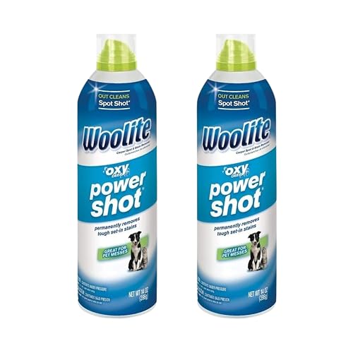 Woolite Oxy Deep Power Shot Fresh Scent Carpet Cleaner, 14oz 2-Pack
