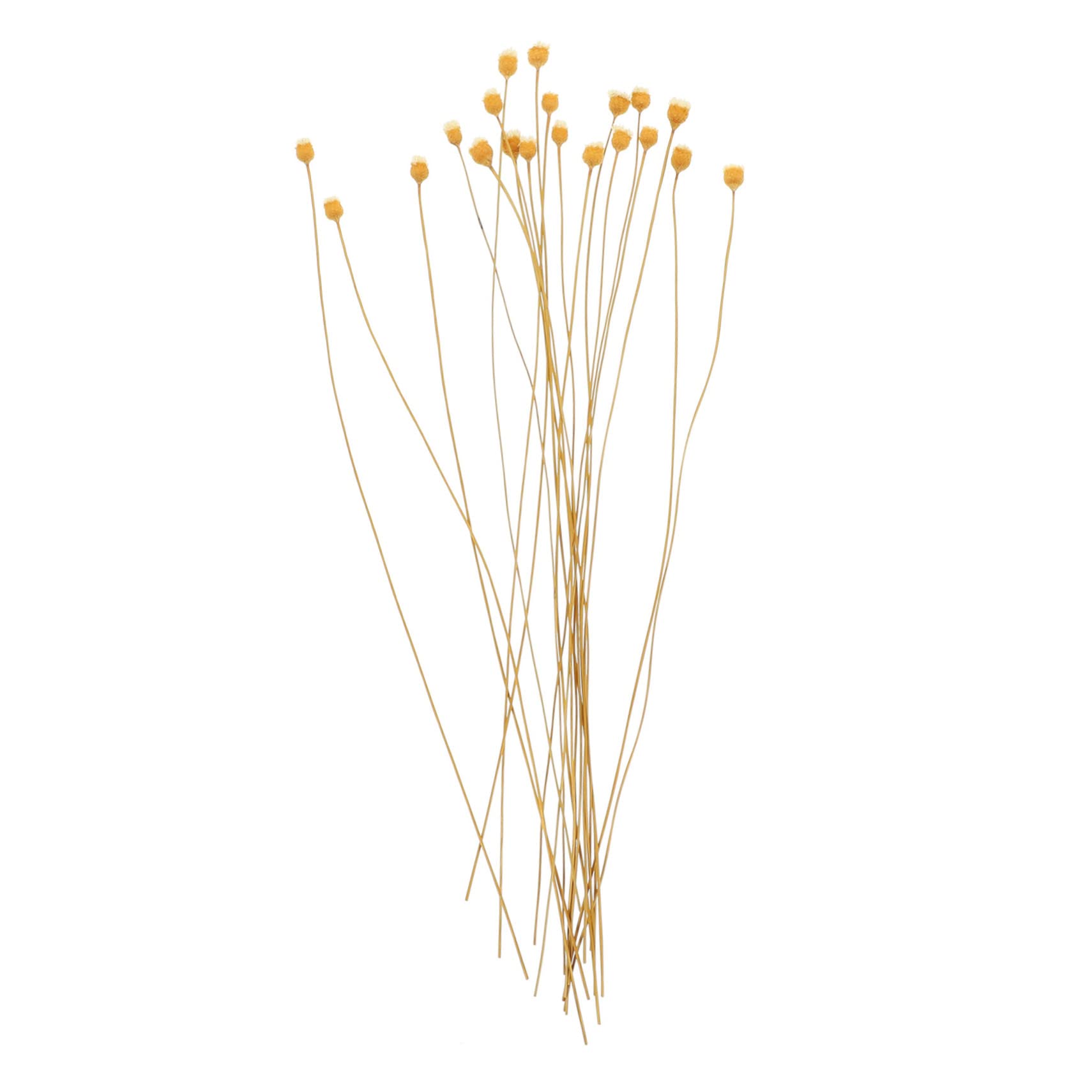 Didiseaon 60pcs Diffuser Sticks Rattan Diffuse Sticks for Home Decor Spa Relaxation Decorative Fragrance Accessories for Kitchen Bedroom Living Room