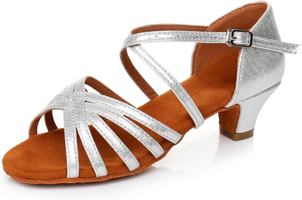 HIPPOSEUS Women's Latin Dance Shoes Ballroom Classical Party Practice Performance Sandals,Silver,Low Heel, 7.5 B(M) US