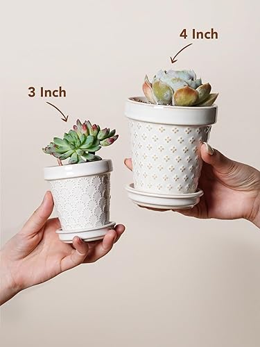 Miniatura 6 de LE TAUCI Macetas de cerámica para suculentas, maceta pequeña de 4 pulgadas para plantas de interior, macetas en relieve con orificio de drenaje y