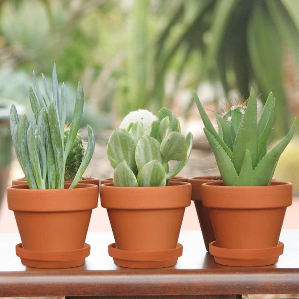 Briful 12 Stück Mini Terrakotta Topf 7.9 x 7.4 cm Blumentöpfe Tontöpfe mit Untersetzer und Abflussloch Sukkulenten Töpfe Kräutertopf ideal für Pflanzen Basteln Hochzeitsgeschenk