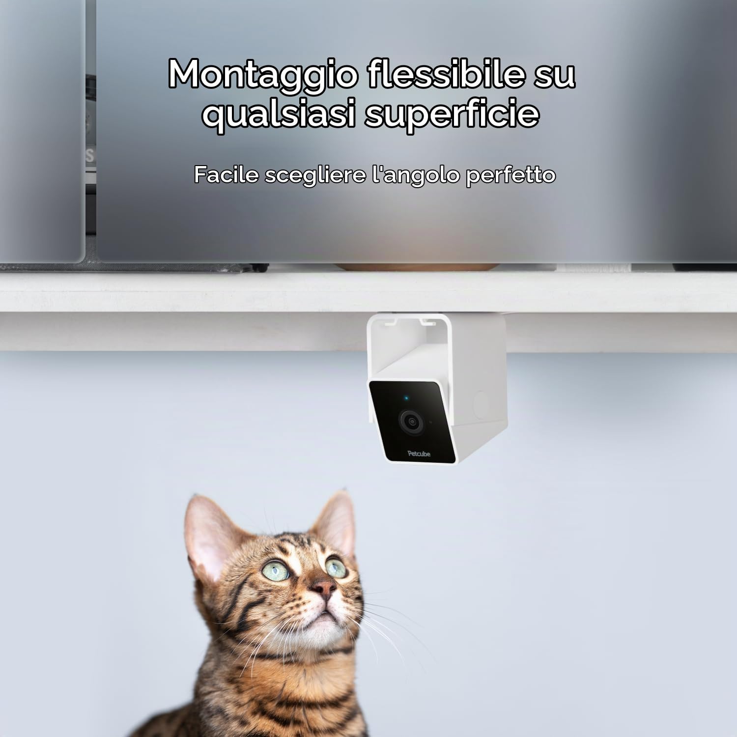 Petcube Cam – Telecamera di sicurezza Wi-Fi per animali domestici con app per telefono — immagine 5 di 11