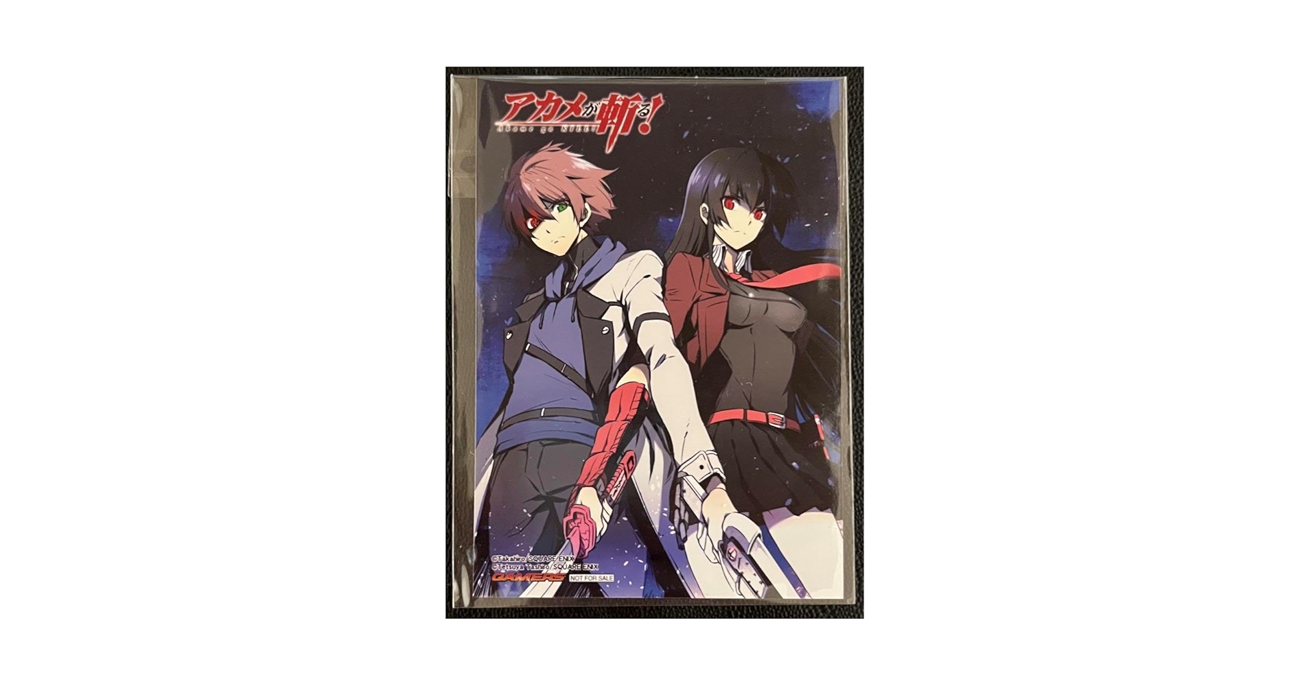 Amazon.co.jp: ゲーマーズ 特典 ブロマイド アカメが斬る タツミ