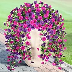 Dark Purple Light Purple