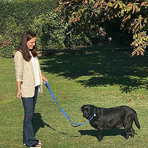 Sunnq Dog Leashes For Large Breed Dogs, Heavy Duty Dog Leash For Large Dogs With Two Padded Handles 4Ft, Double Handle Dog Leash, Reflective Training Lead, Durable Traffic Leashes #TOP2