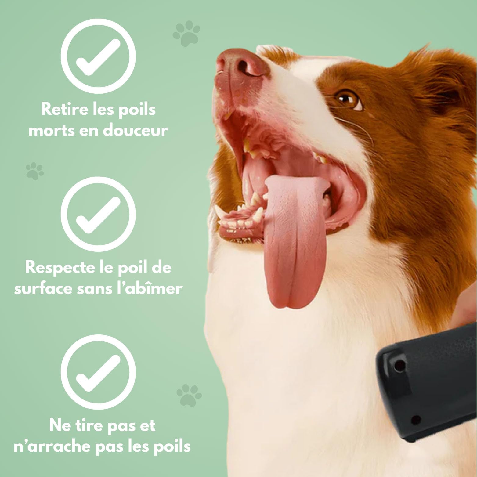Brosse Chien, Brosse Sublime Poil Chien, pour Eliminer Efficacement des Tomentose sous-Poil Tangles, Adapté pour Les Chiens Chats Cheveux Courts Et Long (1pc)
