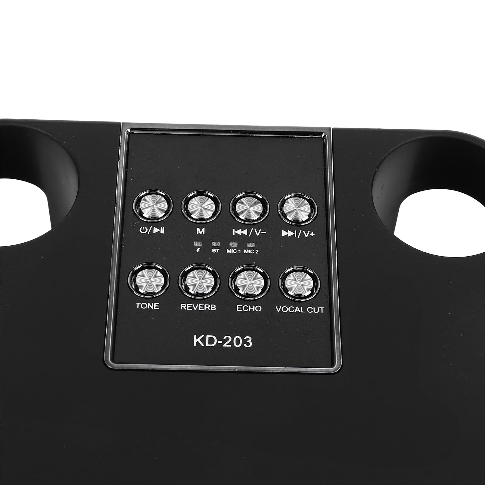 EMUKOEP Altoparlante Karaoke Portatile Ricaricabile Esperienza Audio Premium per Feste in Casa