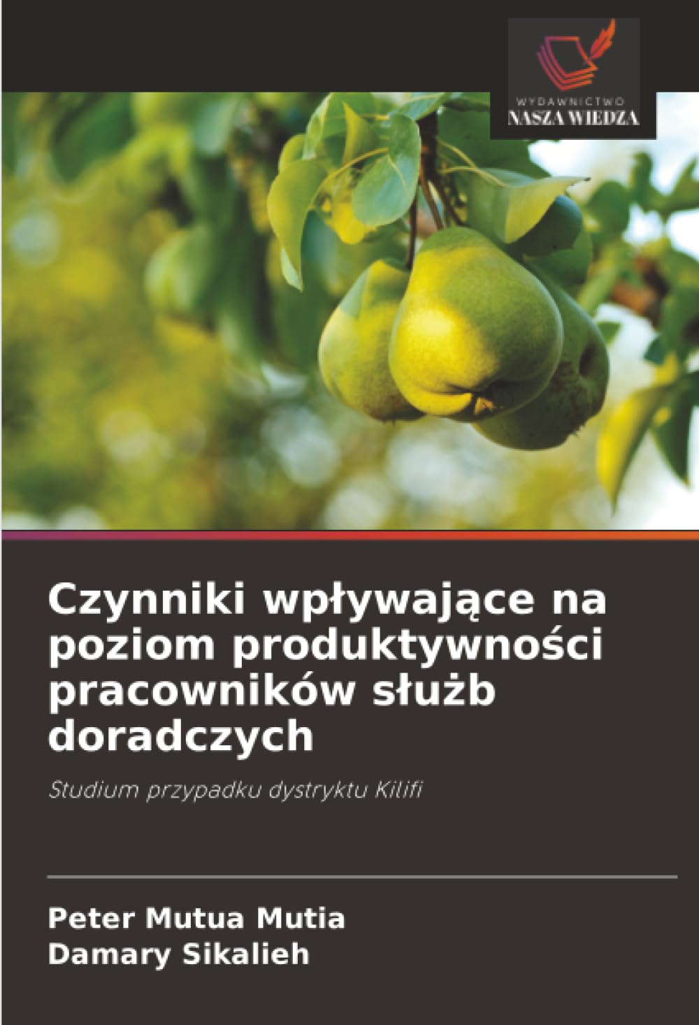 Czynniki wpływające na poziom produktywności pracowników służb doradczych: Studium przypadku dystryktu Kilifi