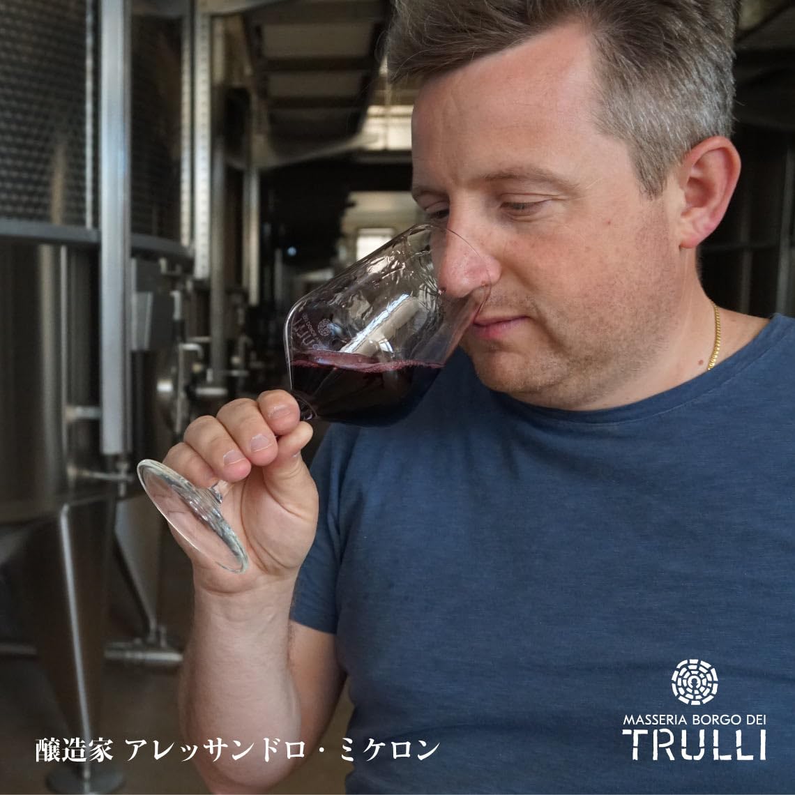 Amazon.co.jp: トゥルッリ サリーチェ・サレンティーノ [ 赤ワイン