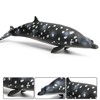 Amazon | Eden Toys コブハクジラ 瘤歯鯨 クジラ 鯨 海洋動物