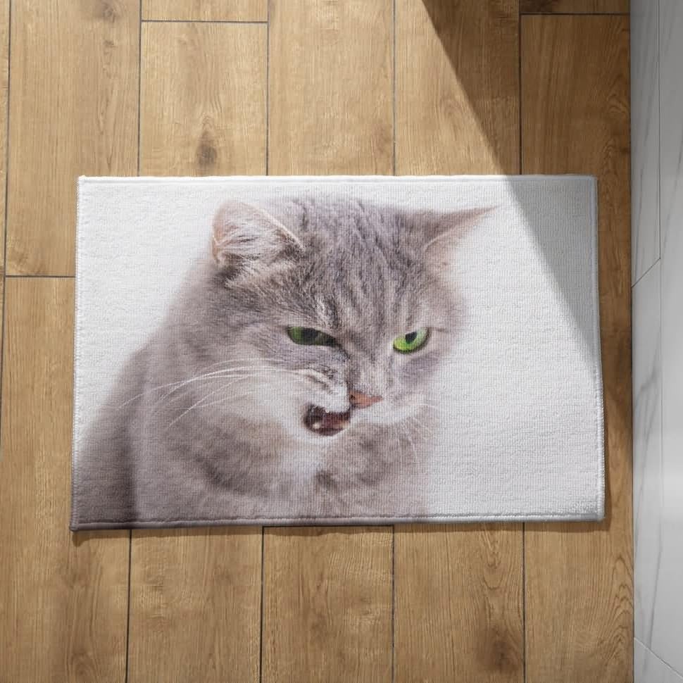 Tapis d'entrée coloré absorbant pour intérieur et extérieur 50x80