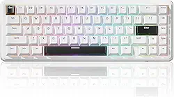 ATTACK SHARK X65 HE com fio,interruptor magnético de gatilho rápido,65%,teclado mecânico para jogos, efeito Hall RGB Hot Swap,atuação ajustável,taxa de pesquisa de 8 KHZ,teclas PBT,Win/Mac(Branco)