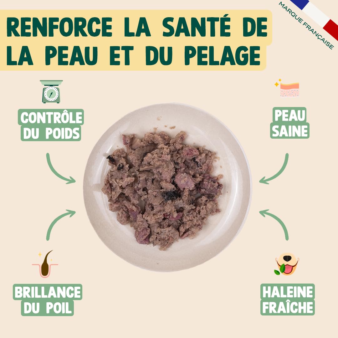 FRANKLIN – Patée pour Chien – Lot 6x400g – 70% de Saumon et Dinde – Riche en Protéines – Contrôle du Poids – Brillance du Poils – Digestion Facile