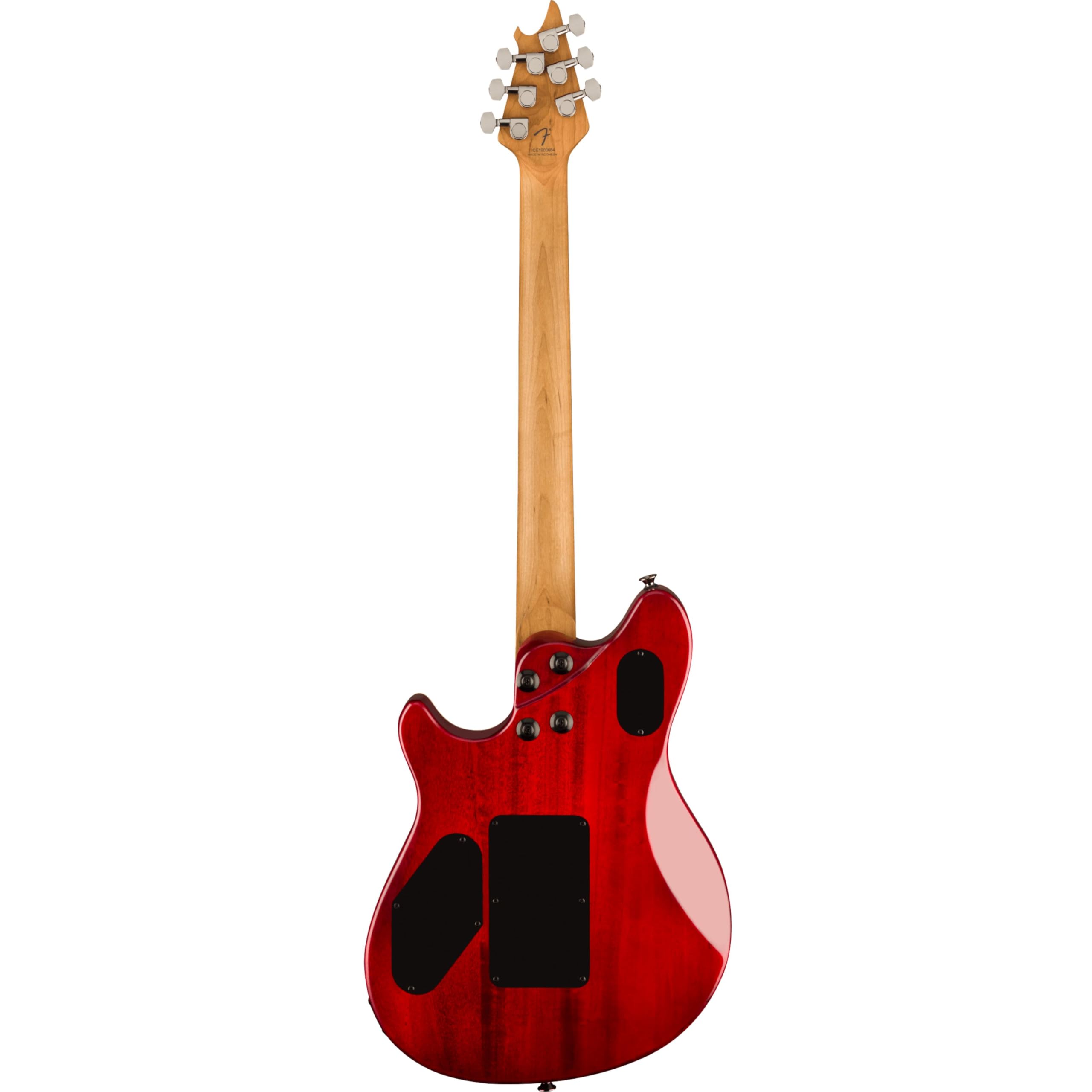 Amazon.com: EVH Wolfgang WG Standard Exotic Zebrawood Electric
