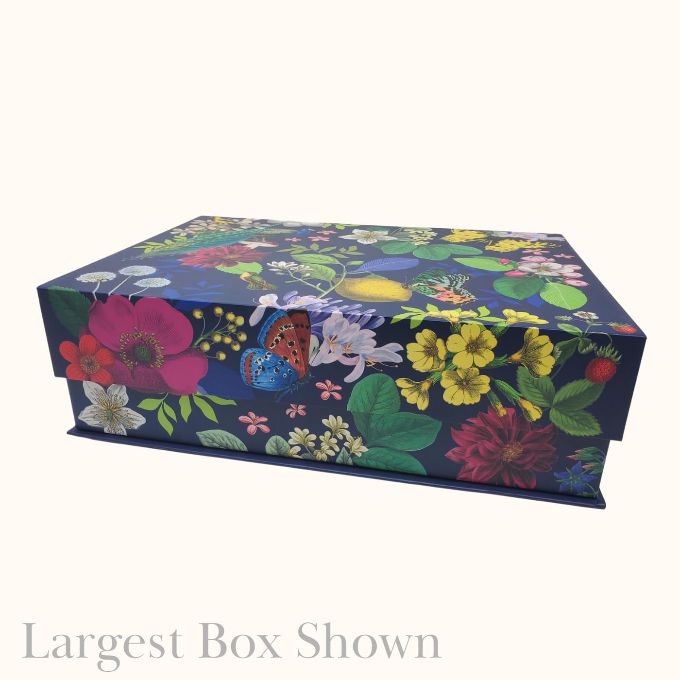 Punch Studio 3段ボックス Amazon.com: Punch Studio Rectangle Flap Box Set of Three (52818N