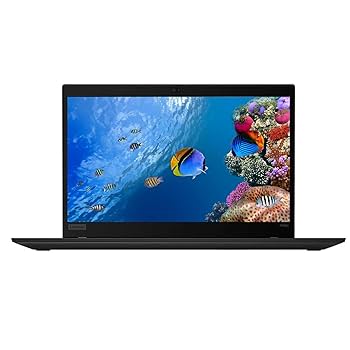 Amazon.com: Lenovo ThinkPad T490s 14