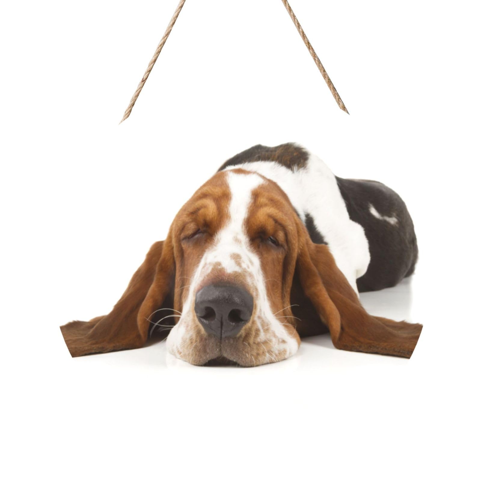 InOmak Basset Hound Isolated, Round Wood Panel Painting 12 in, Wall Hanging Painting For Home