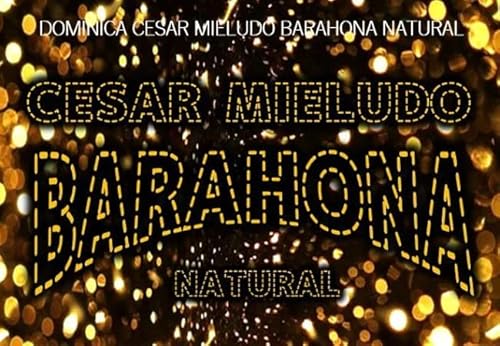 I400g h~jJ ZT[h oIi i` R[q[ R  (̂܂܁j