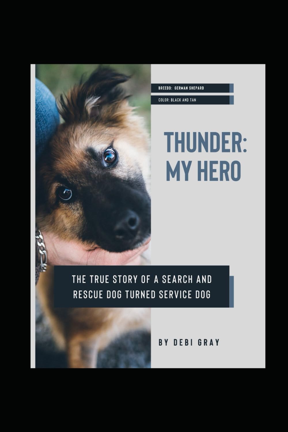 Thunder: My Hero: True Story of a Search and Rescue Dog Turned Service Dog