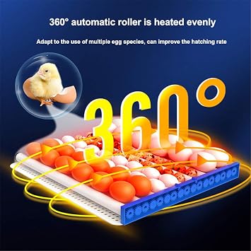 Generic 256 Egg Incubator with Temperature Control and Automatic Turning Function - Digital Automatic Hatcher with LED Display for Multiple Egg Sizes