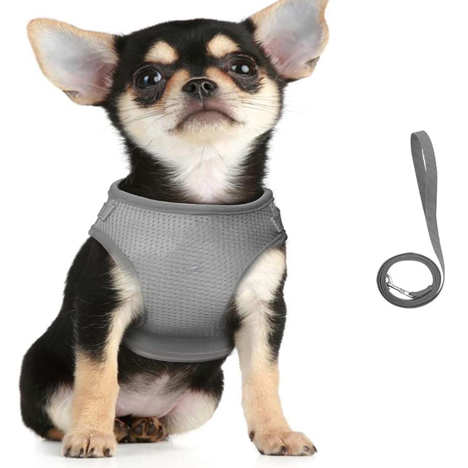 See full amazon price history chart for Kuber Industries Dog Chest Harness with Nylon Leash I No Pull, Soft Padded and Breathable Dog Vest I Adjustable, Reflective I Easy Control Dog Chest Belt I (Small, Grey) Kuber Industries Dog Chest Harness with Nylon Leash I No Pull, Soft Padded and Breathable Dog Vest I Adjustable, Reflective I Easy Control Dog Chest Belt I (Small, Grey) (B0BLSWRGTH) Amazon Price History, Amazon Price Tracker