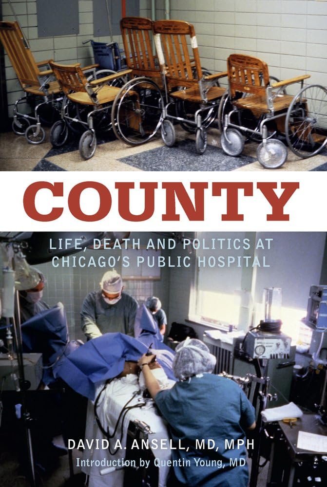 Buy County: Life, Death and Politics at Chicago's Public Hospital — BookShops.in