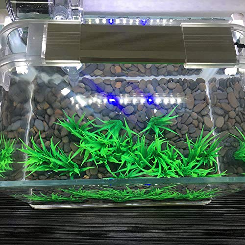 Image of Aquarium Plant Fish Tank Decoration 20 Pieces Small /1 inch Tall Plastic Artificial Plant Goldfish Hidden Mini Grass Set (Green-B)