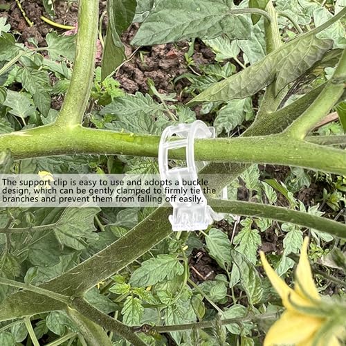 ZEACCT 200Pcs Garden Plant Support Clips, Durable Plastic Lattice for Stems Vines & Vegetables - Image 4