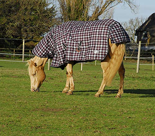 Rhinegold Glacier Combination Rug - Heavyweight 320gsm Polyfill