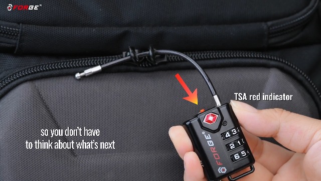Amazon.com | TSA Approved Cable Luggage Locks, Re-settable