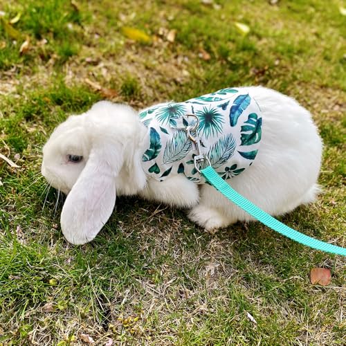 Image of Adjustable Rabbit Harness and Leash Set Lightweight Pet Harness Breathable Cute Rabbit Harness with Safety Buckles for Small Pets