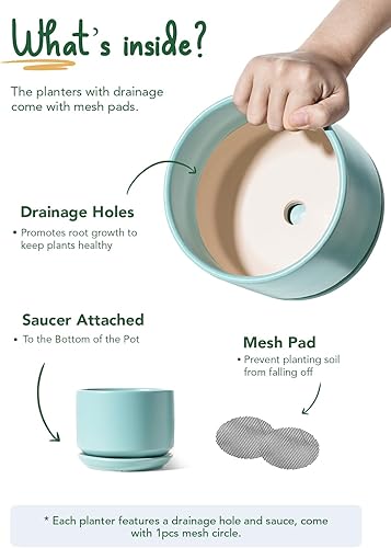 Vista 14 de LE TAUCI - Macetas de 4.5 pulgadas y 5.3 pulgadas y 6.5 pulgadas maceta con agujeros de drenaje y platillos de cerámica, con bandeja, macetas