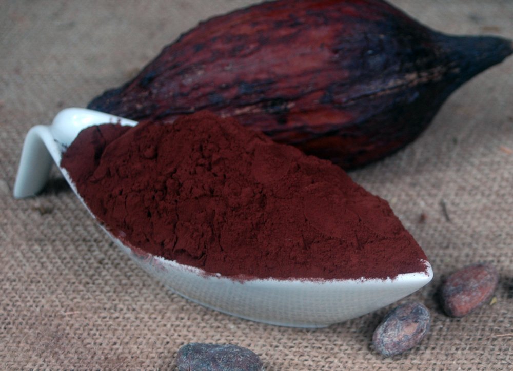 Cacao en polvo aceite 20-22% 1 Kg
