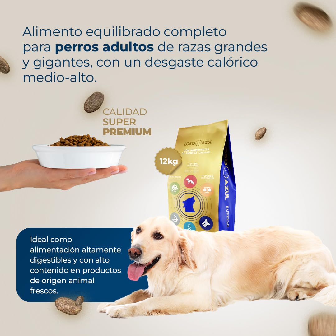 Pienso para Perros Grandes sin Cereales - Completo, Natural e Hipoalergénico para Razas Gigantes, Maxi - Grain Free con Pollo Fresco, Cordero, Pavo y Atún - 12kg - Lobo Azul Supreme Giant Adult