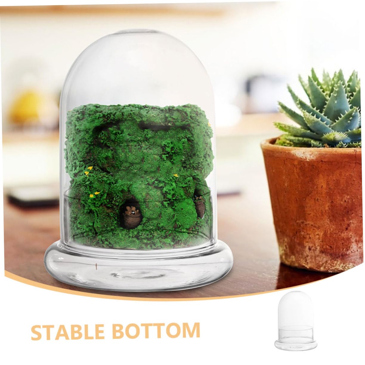 Terrario Micro Paesaggio DIY in Vetro, per Piante e Fiori
