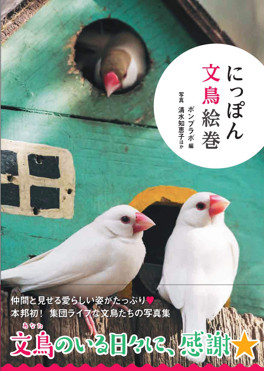 1/6 メイ　桜文鳥　イベント限定品　イラスト　写真３枚　初出物 1/6 メイ 桜文鳥 イベント限定品 イラスト 写真3枚 初出物 桜文鳥