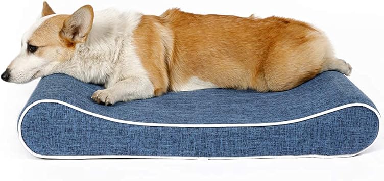 Amazon Petshy犬 ベッド猫 ベッドペットベッド犬 クッション 猫 クッションペットソファ 高反発ウレタン使用犬 ベッド 大型犬 中型犬 小型犬 老犬 子犬 猫 介護用 肌触りよい 柔らかい 洗える滑り止め 取り外せるカバー ブルー Petshy ソファ チェア 通販 Amazon Petshy犬 ベッド猫 ベッドペットベッド犬 クッション 猫 クッションペットソファ 高反発ウレタン使用犬 ベッド 大型犬 中型犬 小型犬 老犬 子犬 猫 介護用 肌触りよい 柔らかい 洗える滑り止め 取り外せるカバー ブルー Petshy ソファ チェア 通販